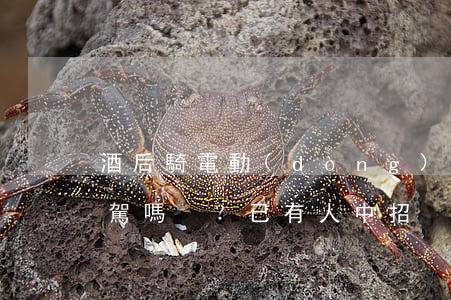 酒后騎電動(dòng)車(chē)算酒駕嗎？已有人中招！